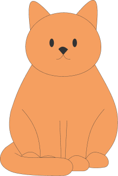 Jero the cat — orange tabby cat sitting